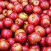 Apples Apples
