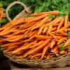 Carrots