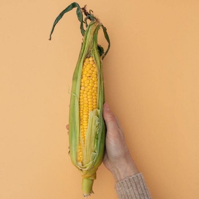 Sweet Corn Sweet Corn